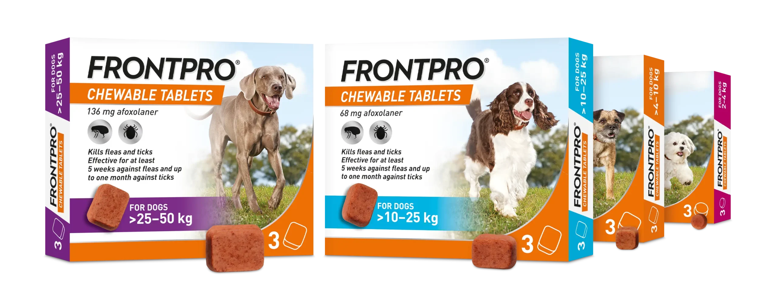 FRONTPRO Chewable Tablets for Dogs, 3-Tablet-RANGE pack image